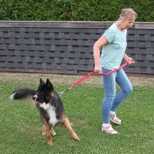 Karlie Führleine ART SPORTIV PLUS - rot - 250 cm - 25 mm - Nylon Hundeleine
