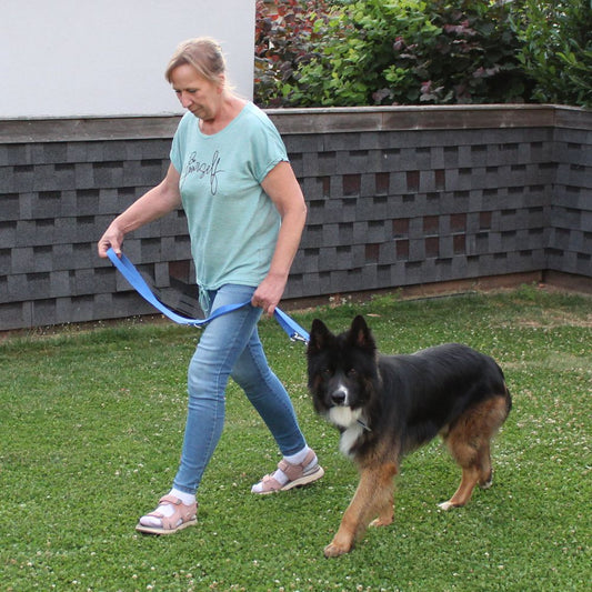Karlie Führleine ART SPORTIV - blau - 200 cm - 25 mm - Nylon Hundeleine