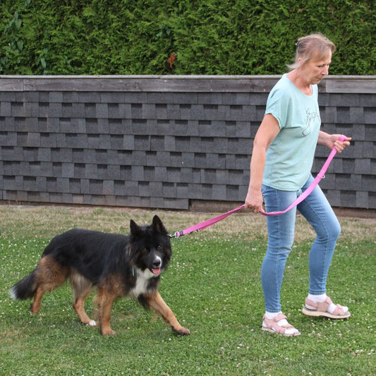 Karlie Führleine ART SPORTIV PLUS - pink - 250 cm - 25 mm - Nylon Hundeleine