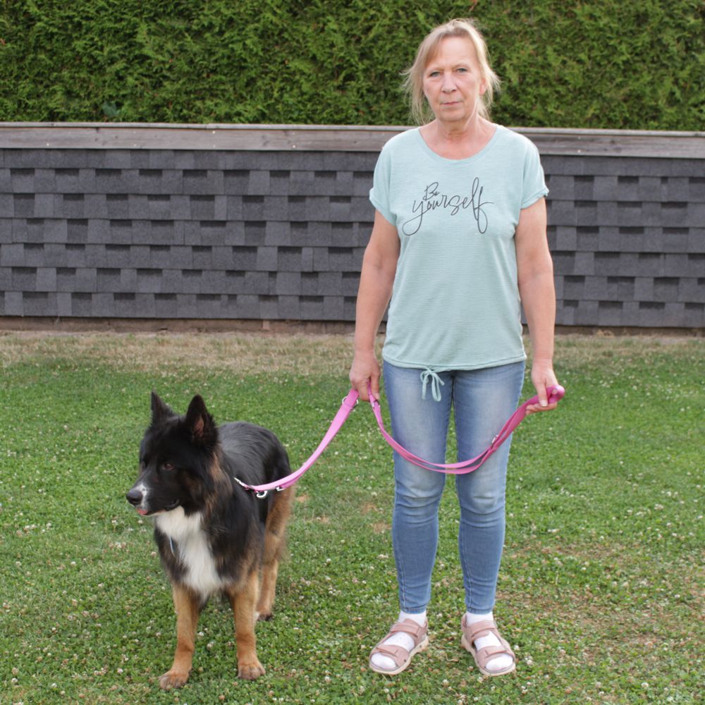 Karlie Führleine ART SPORTIV PLUS - pink - 250 cm - 25 mm - Nylon Hundeleine