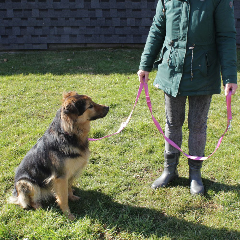 Karlie Führleine ART SPORTIV PLUS - pink - 250 cm - 25 mm - Nylon Hundeleine