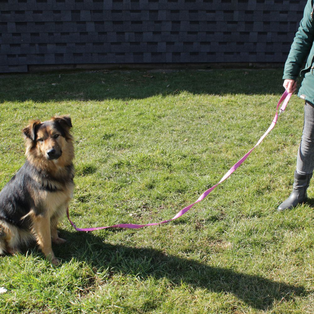 Karlie Führleine ART SPORTIV PLUS - pink - 250 cm - 25 mm - Nylon Hundeleine