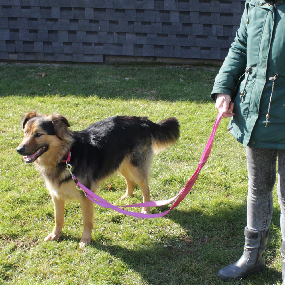 Karlie Führleine ART SPORTIV PLUS - pink - 250 cm - 25 mm - Nylon Hundeleine