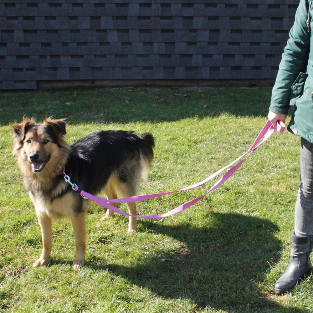 Karlie Führleine ART SPORTIV PLUS - pink - 250 cm - 25 mm - Nylon Hundeleine