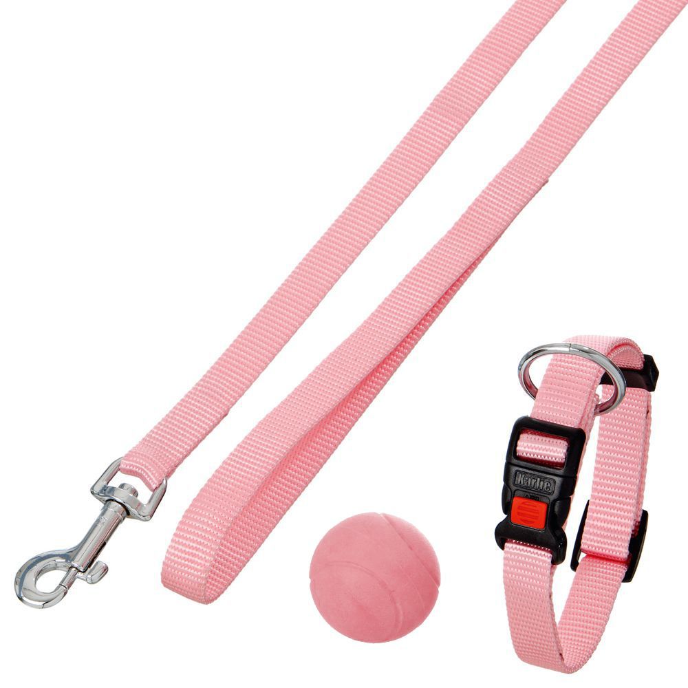 Karlie Welpen-Set Halsband Leine Ball - hellblau rosa - Puppy Hundewelpen Nylon
