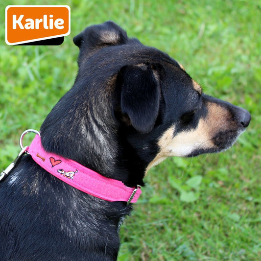 Karlie Leder Halsband - XXS/XS/S/M/L/XL - Vollrindleder mit Filz - Hundehalsband