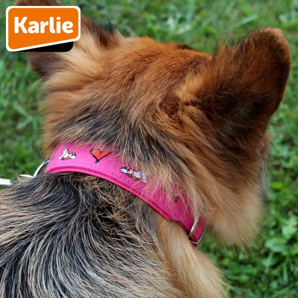 Karlie Leder Halsband - XXS/XS/S/M/L/XL - Vollrindleder mit Filz - Hundehalsband