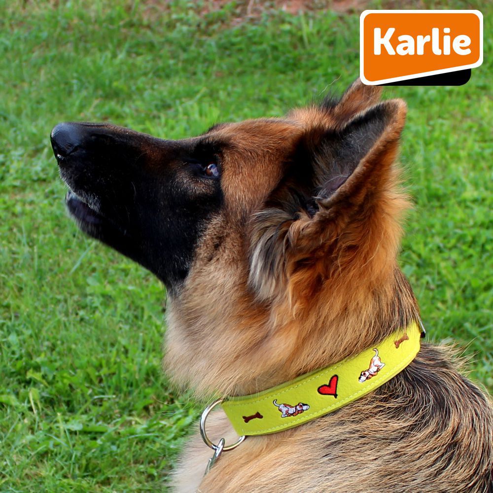Karlie Leder Halsband - XXS/XS/S/M/L/XL - Vollrindleder mit Filz - Hundehalsband