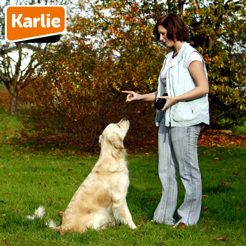Karlie Trainingsdummy - Snackdummy Futterdummy Apportierdummy Preydummy für Hund