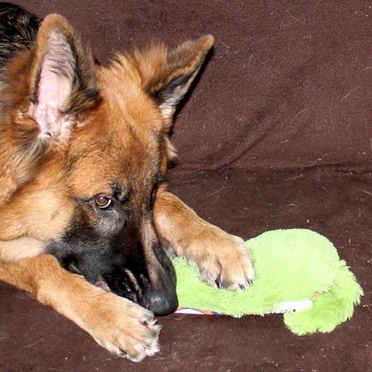 Karlie Plüsch-Hundespielzeug Krazy Kritter + Bird - Plüschtier mit Squeaker