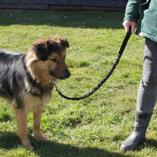 Karlie Leine STRETCH - rot & schwarz - dehnbar 90-120 cm lang - Nylon Hundeleine
