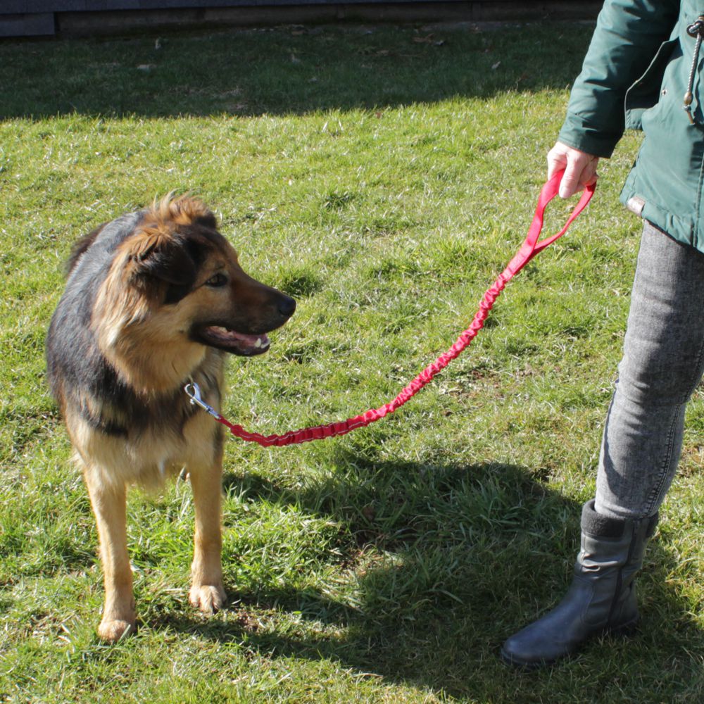 Karlie Leine STRETCH - rot & schwarz - dehnbar 90-120 cm lang - Nylon Hundeleine
