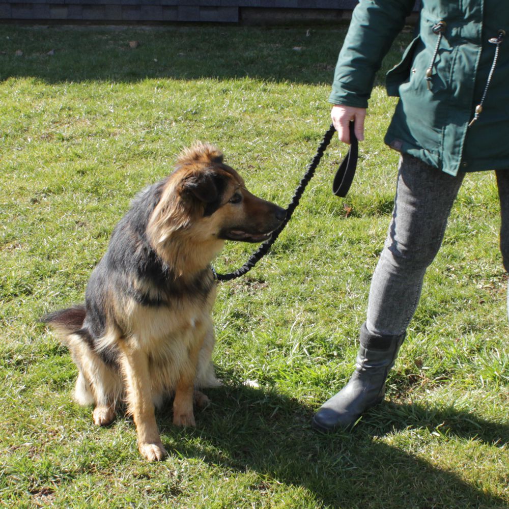 Karlie Leine STRETCH - rot & schwarz - dehnbar 90-120 cm lang - Nylon Hundeleine