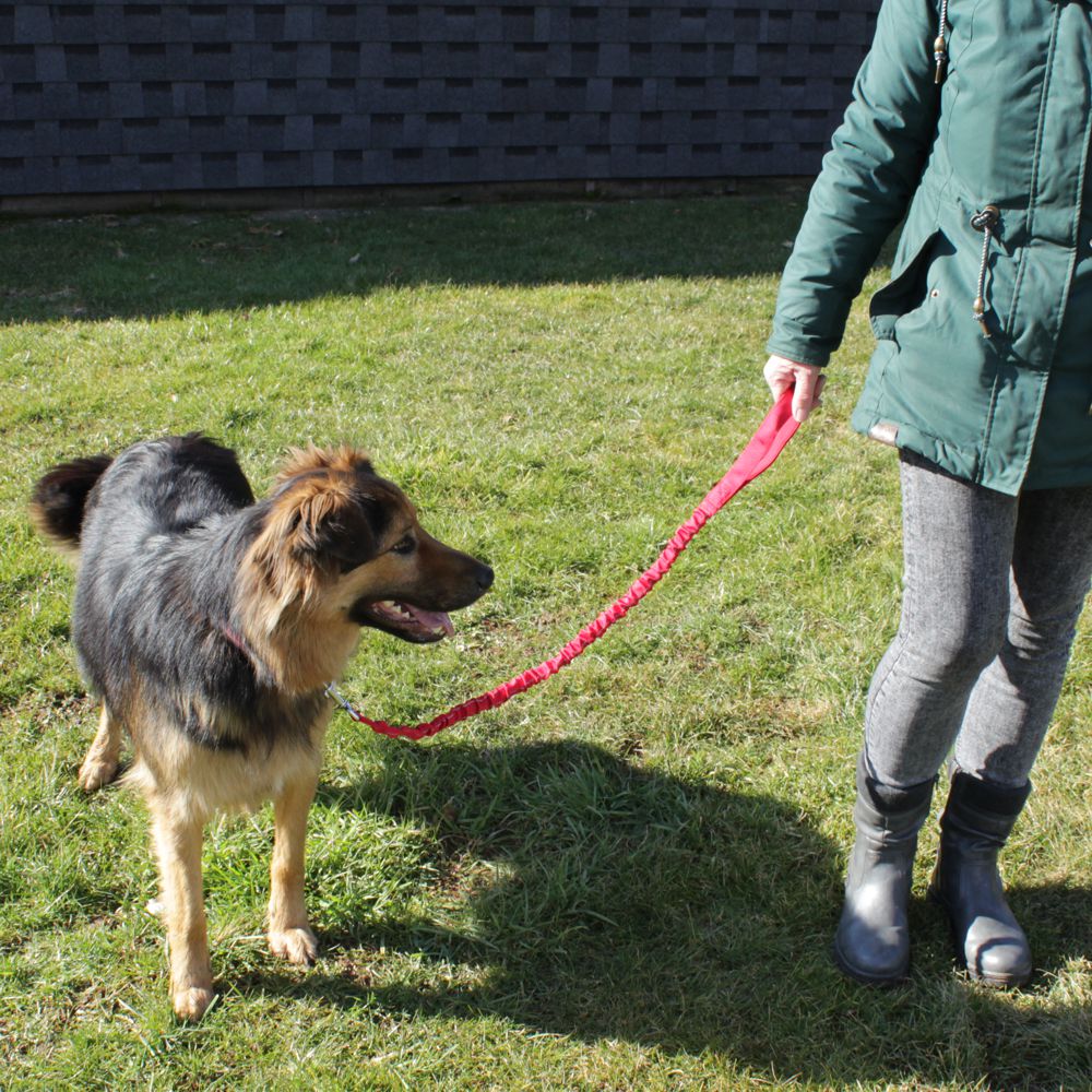 Karlie Leine STRETCH - rot & schwarz - dehnbar 90-120 cm lang - Nylon Hundeleine