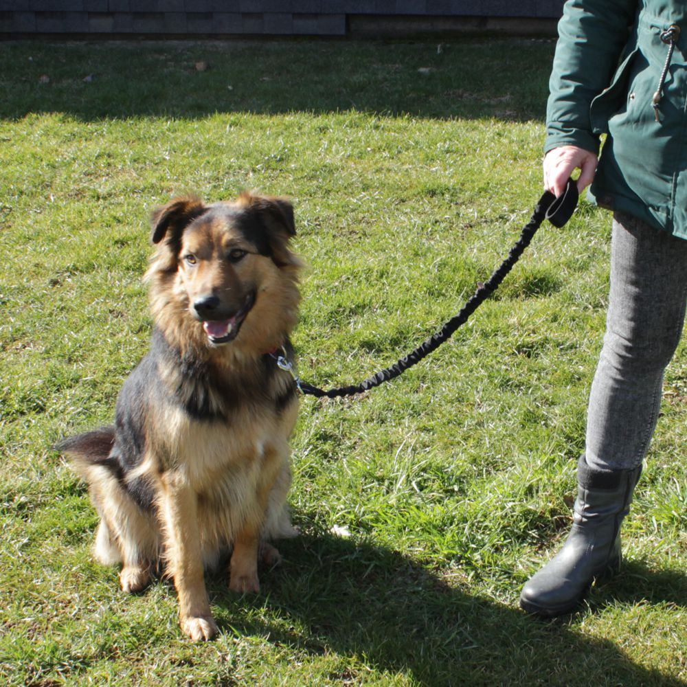 Karlie Leine STRETCH - rot & schwarz - dehnbar 90-120 cm lang - Nylon Hundeleine