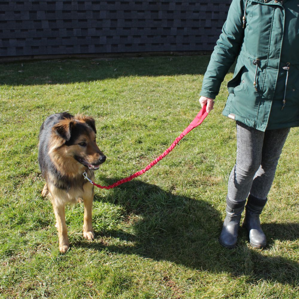 Karlie Leine STRETCH - rot & schwarz - dehnbar 90-120 cm lang - Nylon Hundeleine