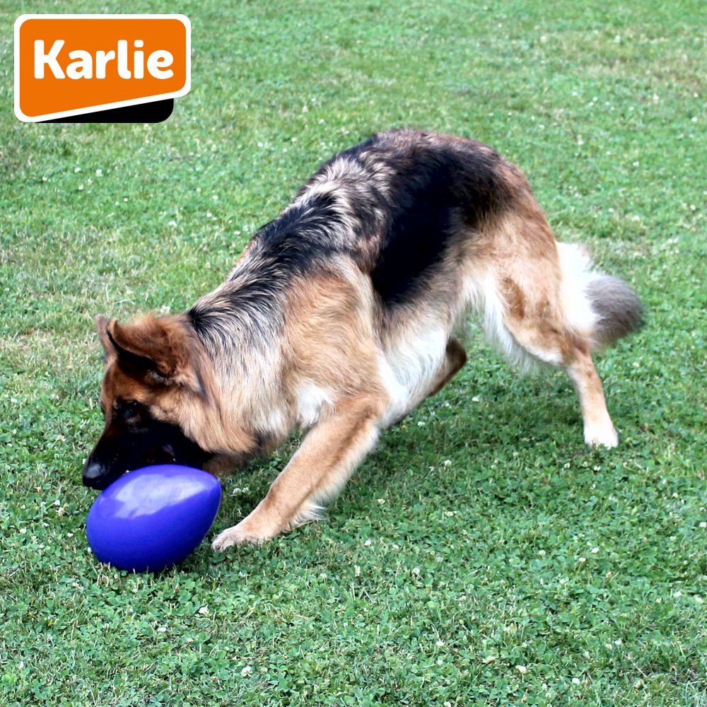 Karlie Funny Eggy - Treibei für Hunde - Spielei - Treibball - Hundespielzeug