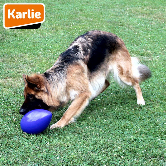 Karlie Funny Eggy - Treibei für Hunde - Spielei - Treibball - Hundespielzeug