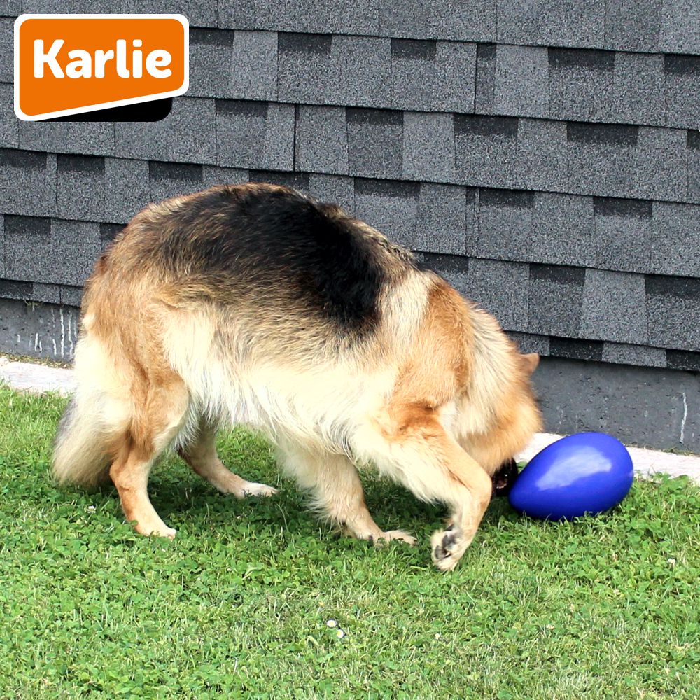 Karlie Funny Eggy - Treibei für Hunde - Spielei - Treibball - Hundespielzeug