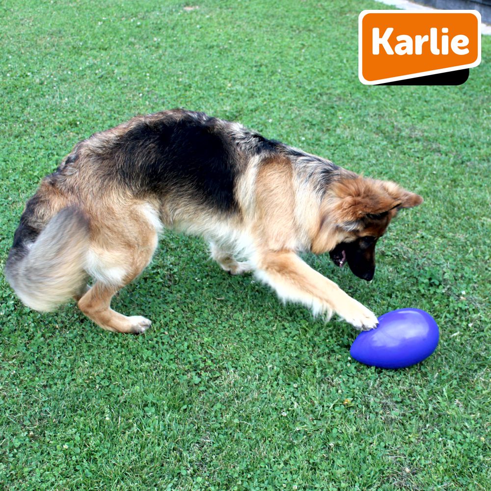 Karlie Funny Eggy - Treibei für Hunde - Spielei - Treibball - Hundespielzeug