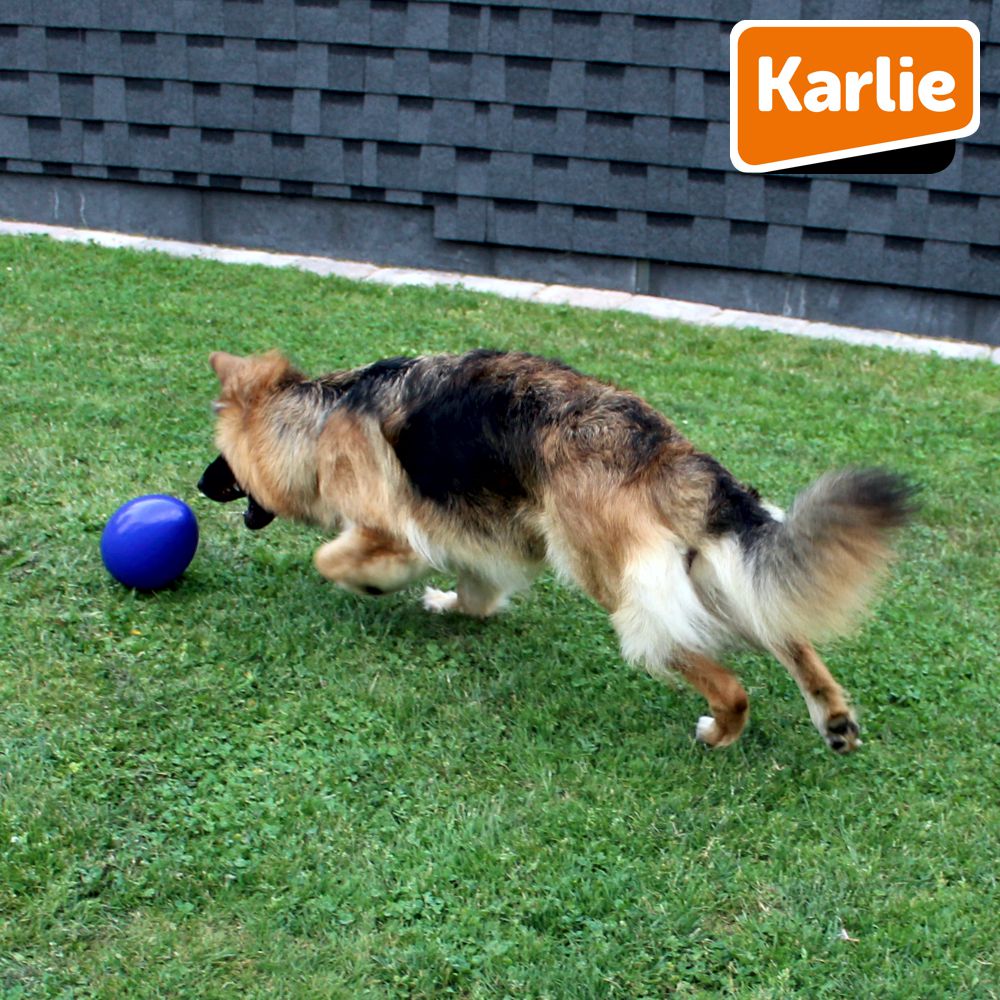 Karlie Funny Eggy - Treibei für Hunde - Spielei - Treibball - Hundespielzeug