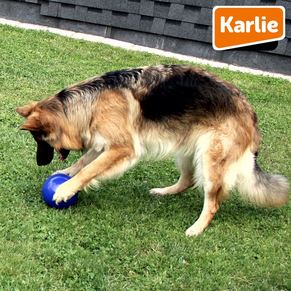 Karlie Funny Eggy - Treibei für Hunde - Spielei - Treibball - Hundespielzeug