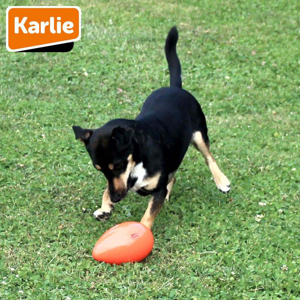 Karlie Funny Eggy - Treibei für Hunde - Spielei - Treibball - Hundespielzeug