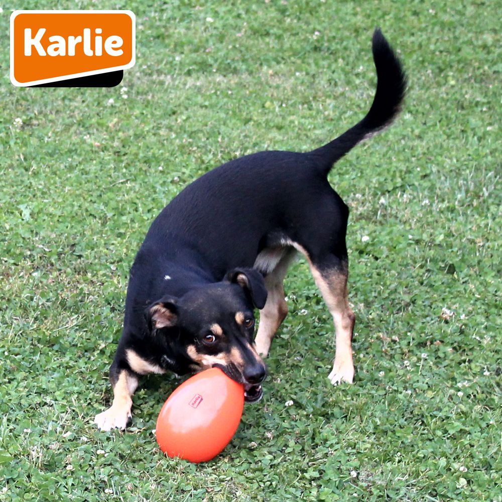 Karlie Funny Eggy - Treibei für Hunde - Spielei - Treibball - Hundespielzeug