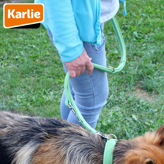 Karlie Leder-Führleine BUFFALO - 200 cm lang - Kalbsleder Hundeleine 2 m