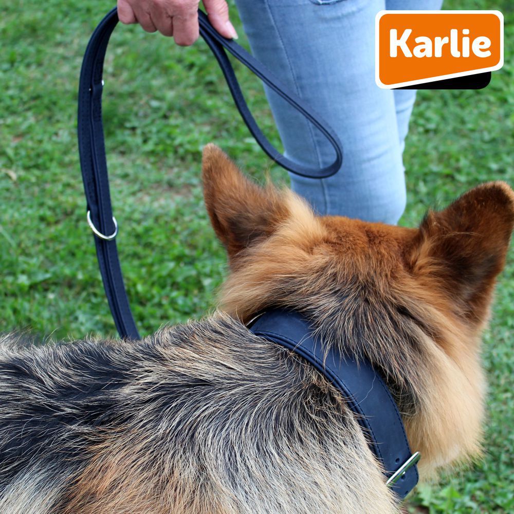 Karlie Leder-Führleine BUFFALO - 200 cm lang - Kalbsleder Hundeleine 2 m