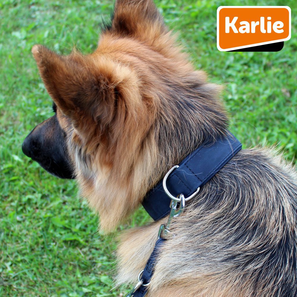 Karlie Leder-Halsband BUFFALO - Länge 40-60 cm - Kalbsleder Hundehalsband