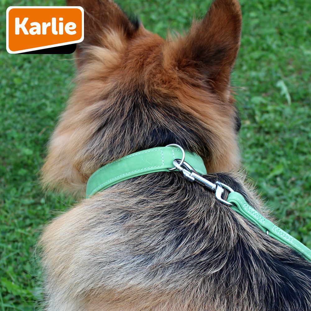 Karlie Leder-Halsband BUFFALO - Länge 40-60 cm - Kalbsleder Hundehalsband