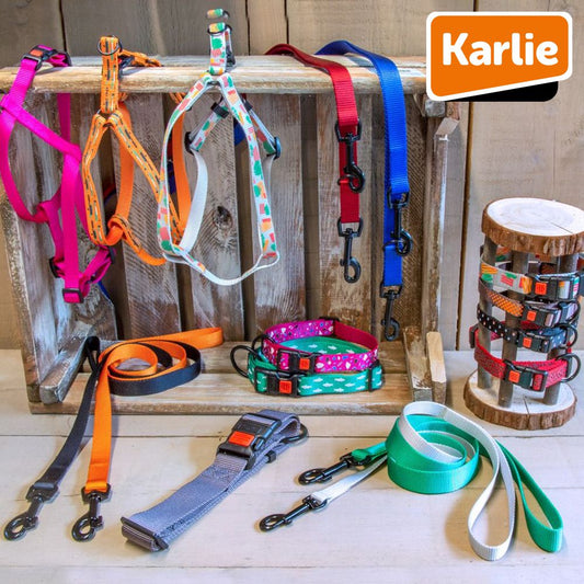 Karlie Halsband ART SPORTIV PLUS - XS/S/M/L/XL - 8 Farben - Nylon Hundehalsband