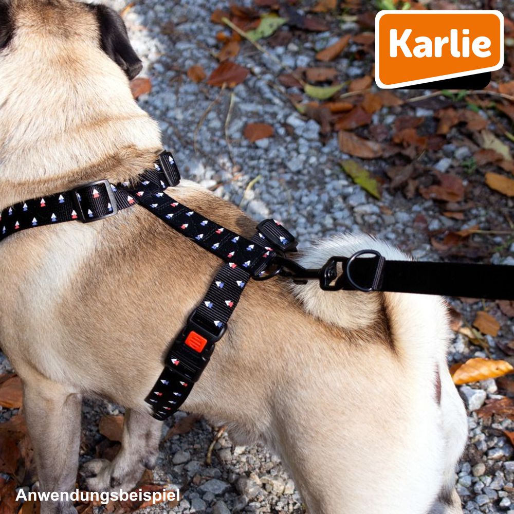 Karlie Führleine ART SPORTIV PLUS - 200 cm 10/15/20/25 mm Nylon Leine Hundeleine