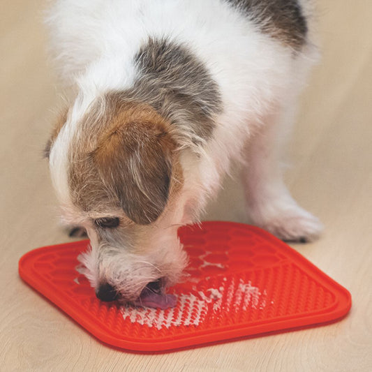 Karlie Silikon Leckmatte - für Hund und Katze - Schleckmatte - Anti-Schlingmatte