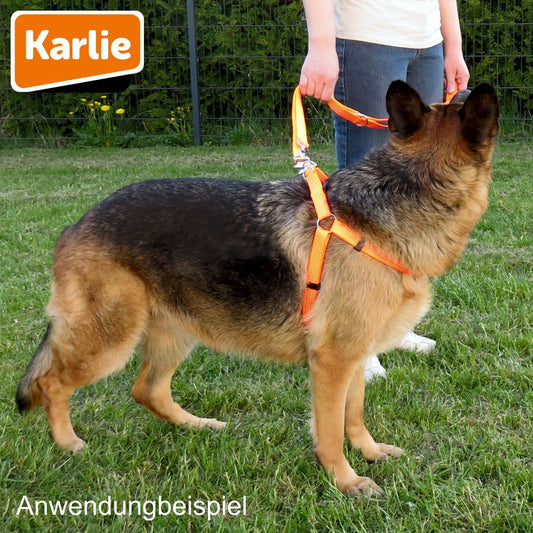 Karlie Geschirr ART SPORTIV PLUS - Step & Go Brustgeschirr - Nylon Hundegeschirr