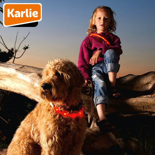 Karlie LED Leuchthalsband VISIO 20-70 cm - Silikon Leuchtband Lichtschlauch Hund