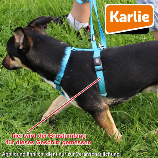 Karlie Geschirr ART SPORTIV PLUS - XS/M/L/XL - Nylon Hundegeschirr Brustgeschirr