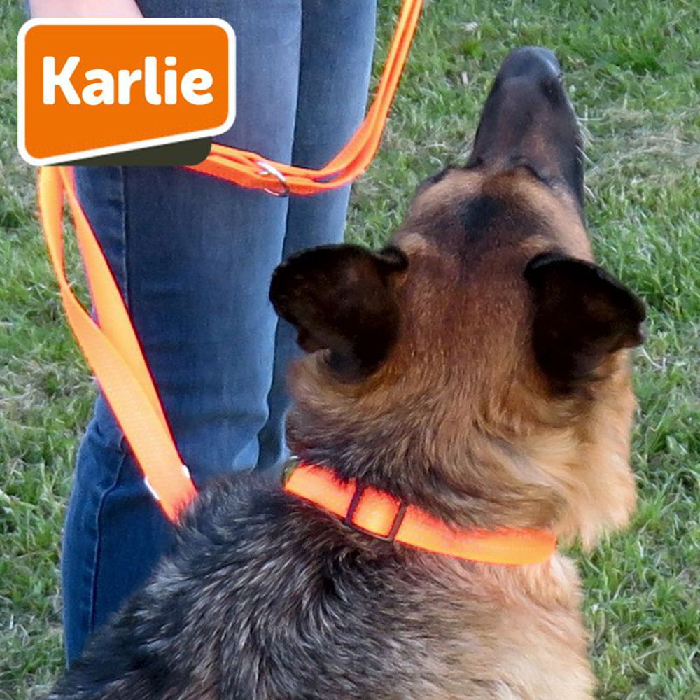 Karlie Halsband ART SPORTIV PLUS REFLEX - gelb & orange Nylon Hundehalsband