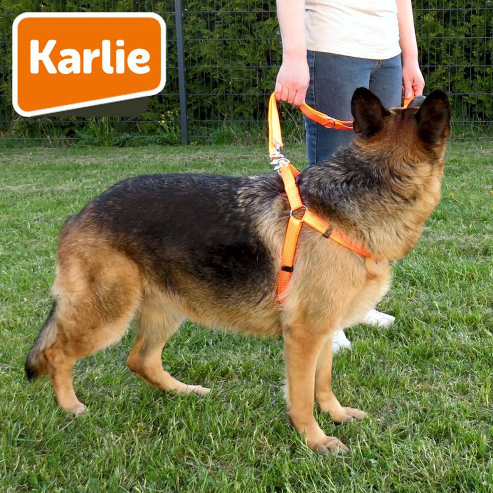 Karlie Geschirr ART SPORTIV PLUS REFLEX - Nylon Hundegeschirr - STEP & GO