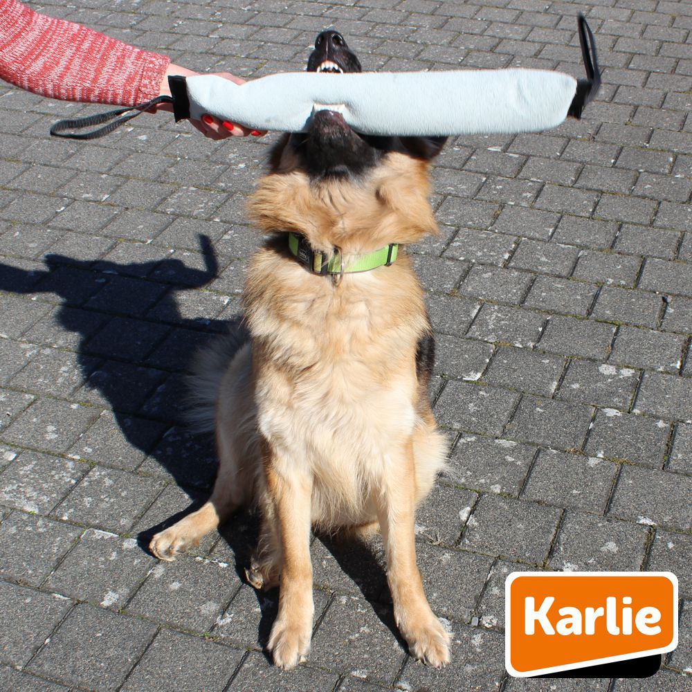 Karlie Leder-Trainingsdummy - 3 Größen - Dummy Apportierdummy Hundetraining