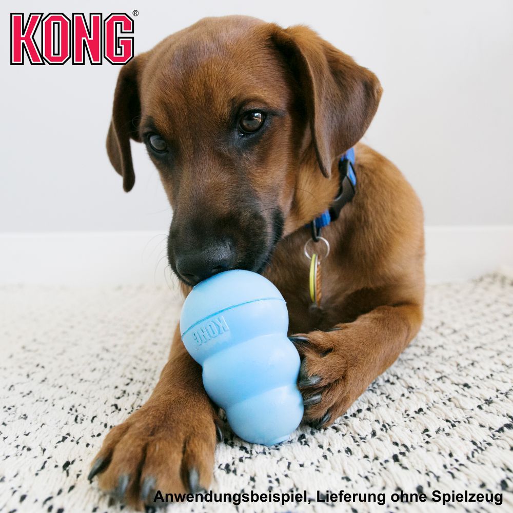 KONG Snacks Leber/Speck/Käse - Leckerli - für Classic/Extreme/Puppy Größe S/M
