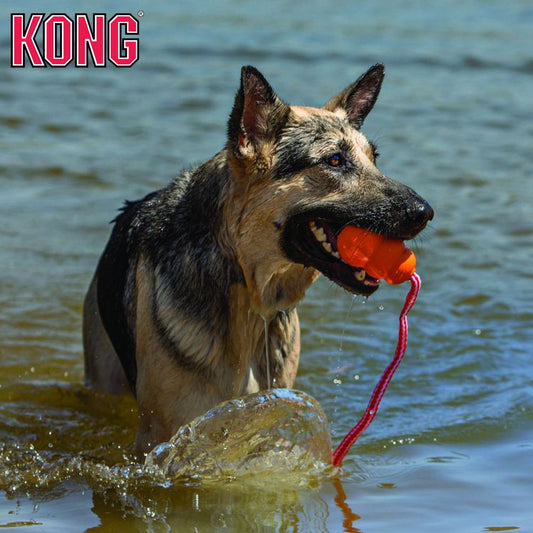 KONG Aqua - Apportierspielzeug Wasserspielzeug Hundespielzeug Wurfseil schwimmt