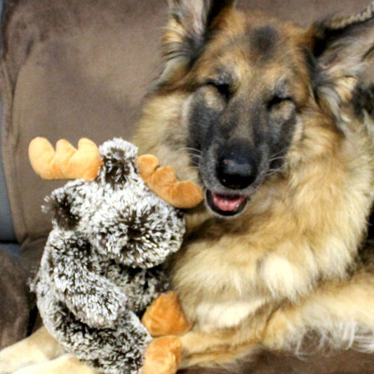 Nobby Plüsch-Hundespielzeug ELCH - 35 cm Plüschtier Kuscheltier Hund Squeaker