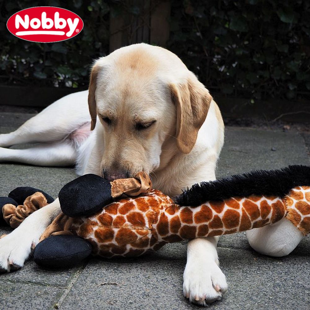 Nobby Plüsch-Hundespielzeug Giraffe 72 cm groß Plüschspielzeug Hund mit Squeaker