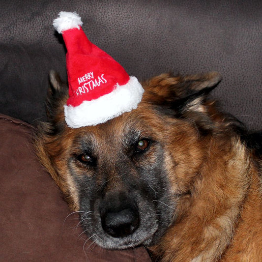 Nobby XMAS Plüsch-Mütze - 16 cm hoch - für Hunde und Katzen - Weihnachtsmütze