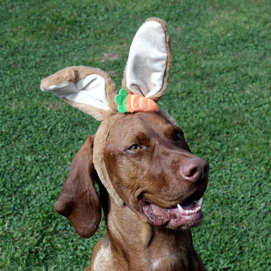 Nobby Ostern Hasenohren für Hunde - Ø 15 cm - Kopfreif mit Ohren - Kopfschmuck