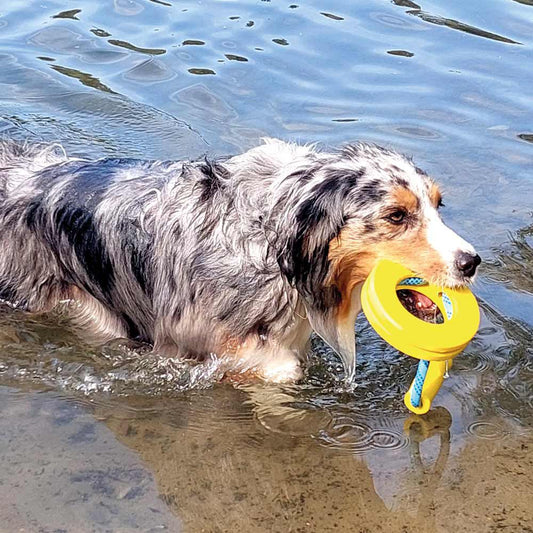 Nobby TPR Wasserspielzeug FLOATING - Ring mit Seil + Griff - Apportierspielzeug