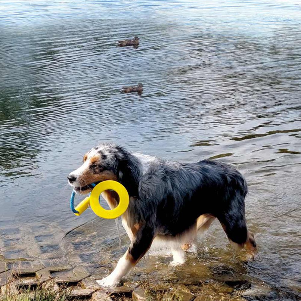 Nobby TPR Wasserspielzeug FLOATING - Ring mit Seil + Griff - Apportierspielzeug