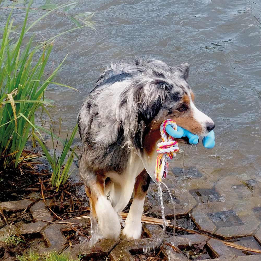 Nobby TPR Wasserspielzeug FLOATING - Anker mit Seil - Apportierspielzeug
